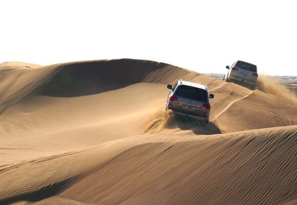 A Beginner’s Guide to Dune Bashing in Dubai -The Wolf Desert