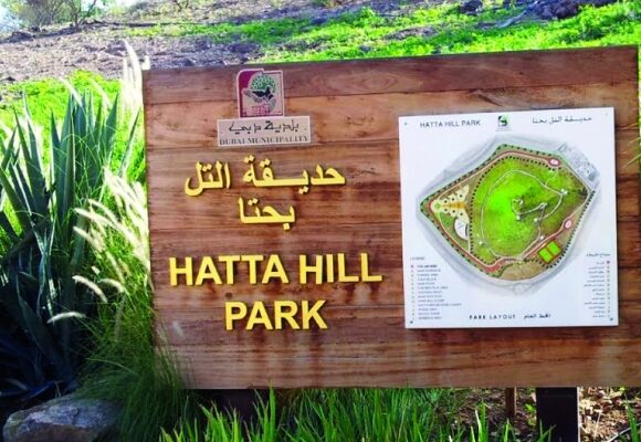 Hatta Hill Park: A Peaceful Getaway for Nature Lovers