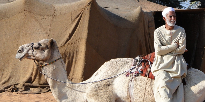 hatta heritage village dubai