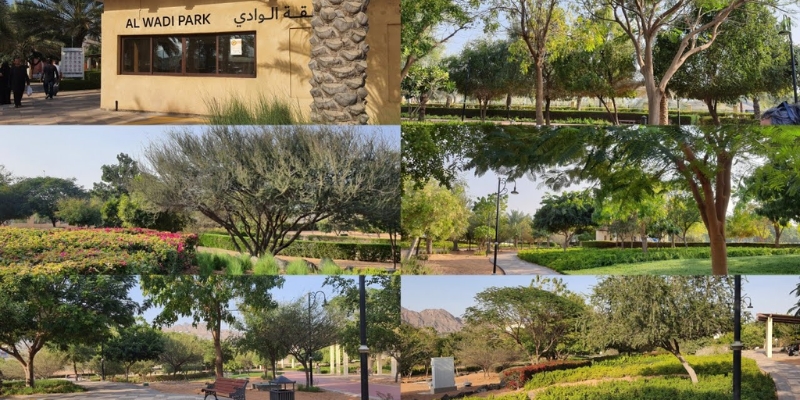 Wadi Hatta Park