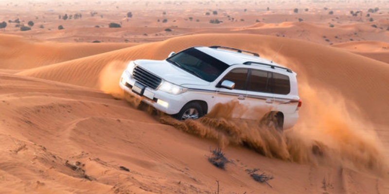 red sand desert safari 