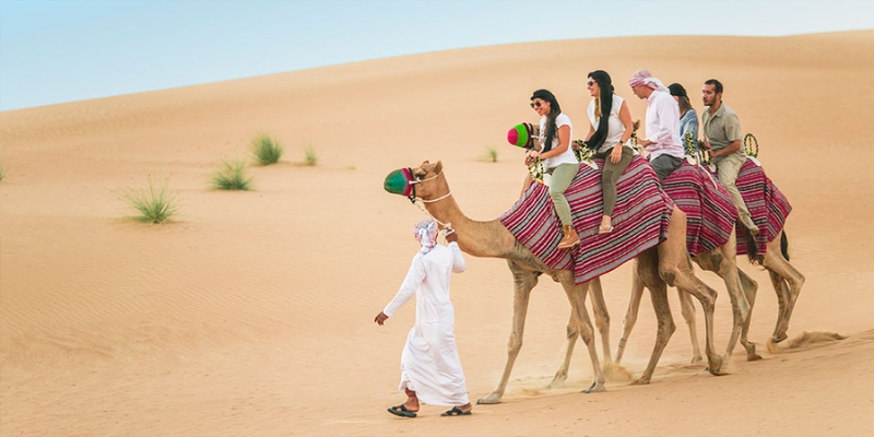 Desert Safari Rides 